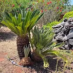 Relaxmountain Отель типа 