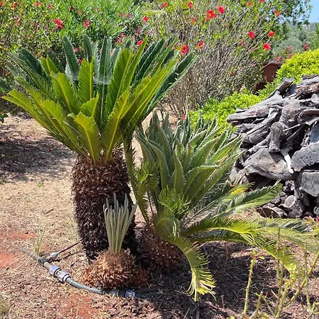 Relaxmountain Bed & Breakfast São Bartolomeu de Messines