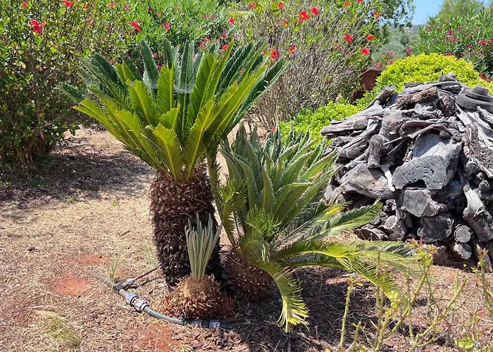 Relaxmountain Bed and Breakfast São Bartolomeu de Messines